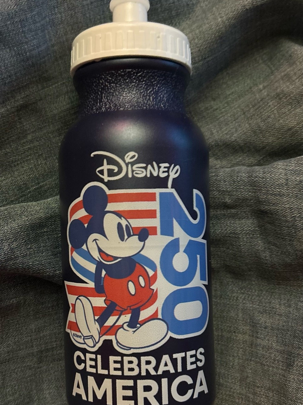 Disney Mickey 250 Celebrates America Navy Water Bottle